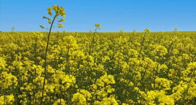 Прикрепленное изображение: IMG_20220509_094531.jpg